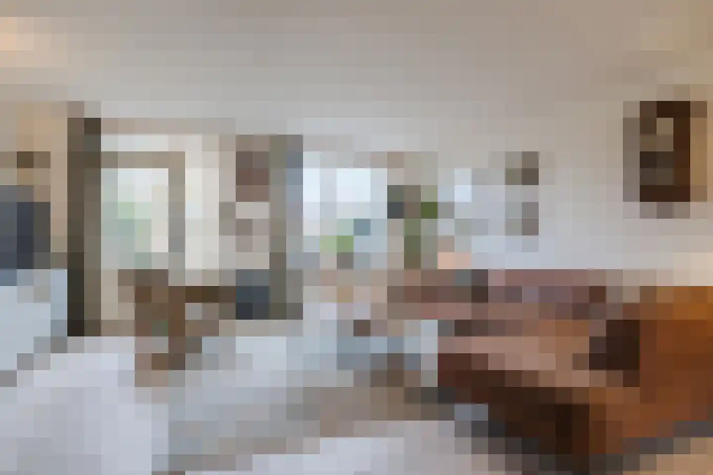 Getijmolenerf 155 Gouda thumbnail 11