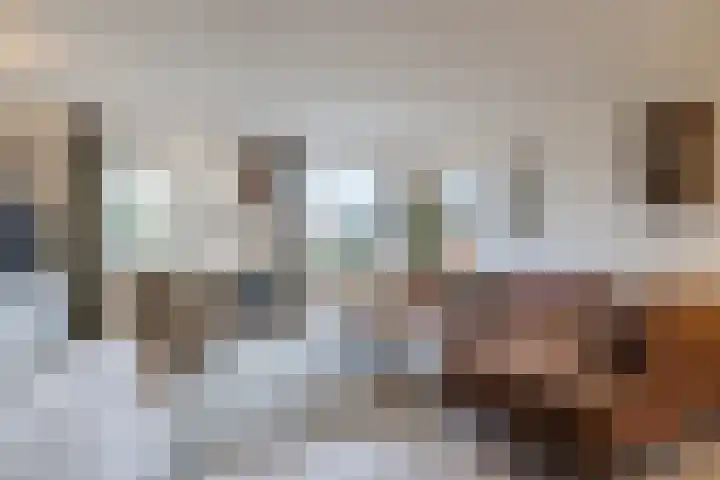 Getijmolenerf 155 Gouda thumbnail 11
