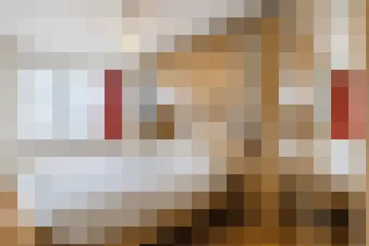 Getijmolenerf 155 Gouda thumbnail 20