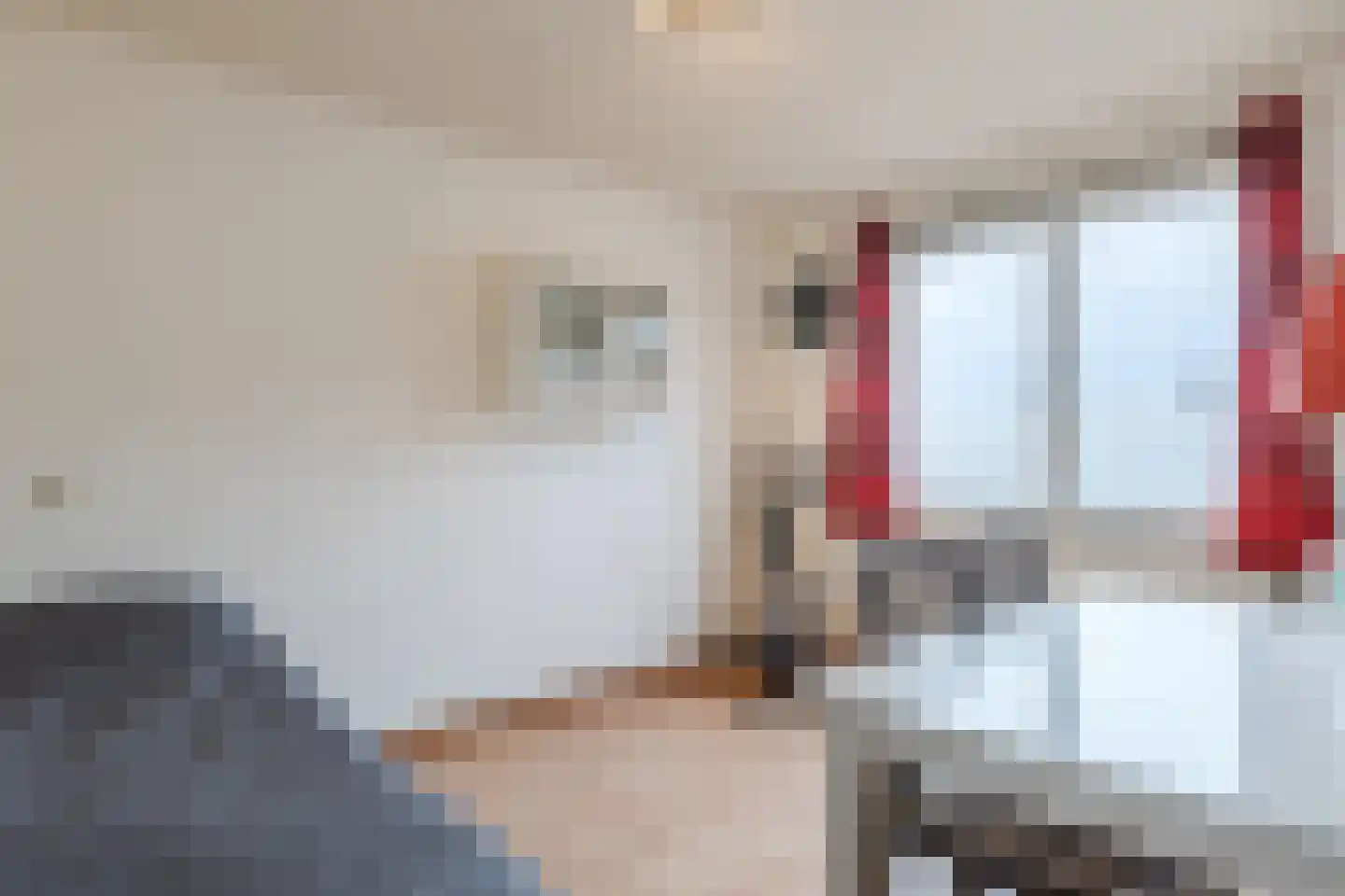 Getijmolenerf 155 Gouda thumbnail 21