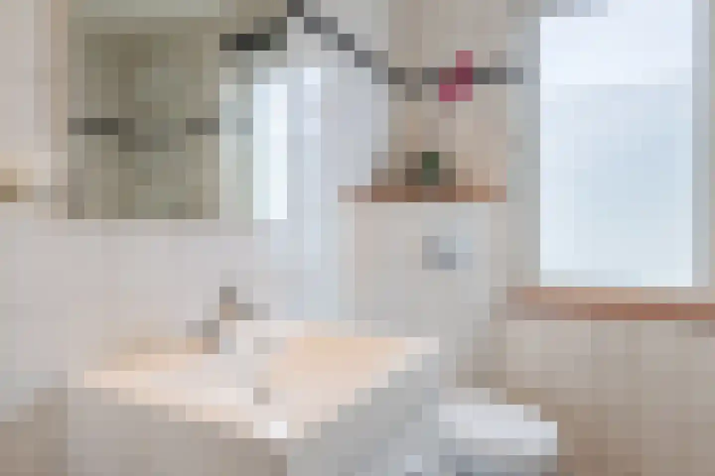 Getijmolenerf 155 Gouda thumbnail 24