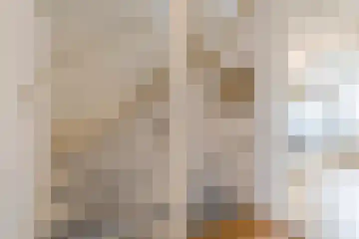 Getijmolenerf 155 Gouda thumbnail 26