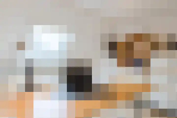 Getijmolenerf 155 Gouda thumbnail 27