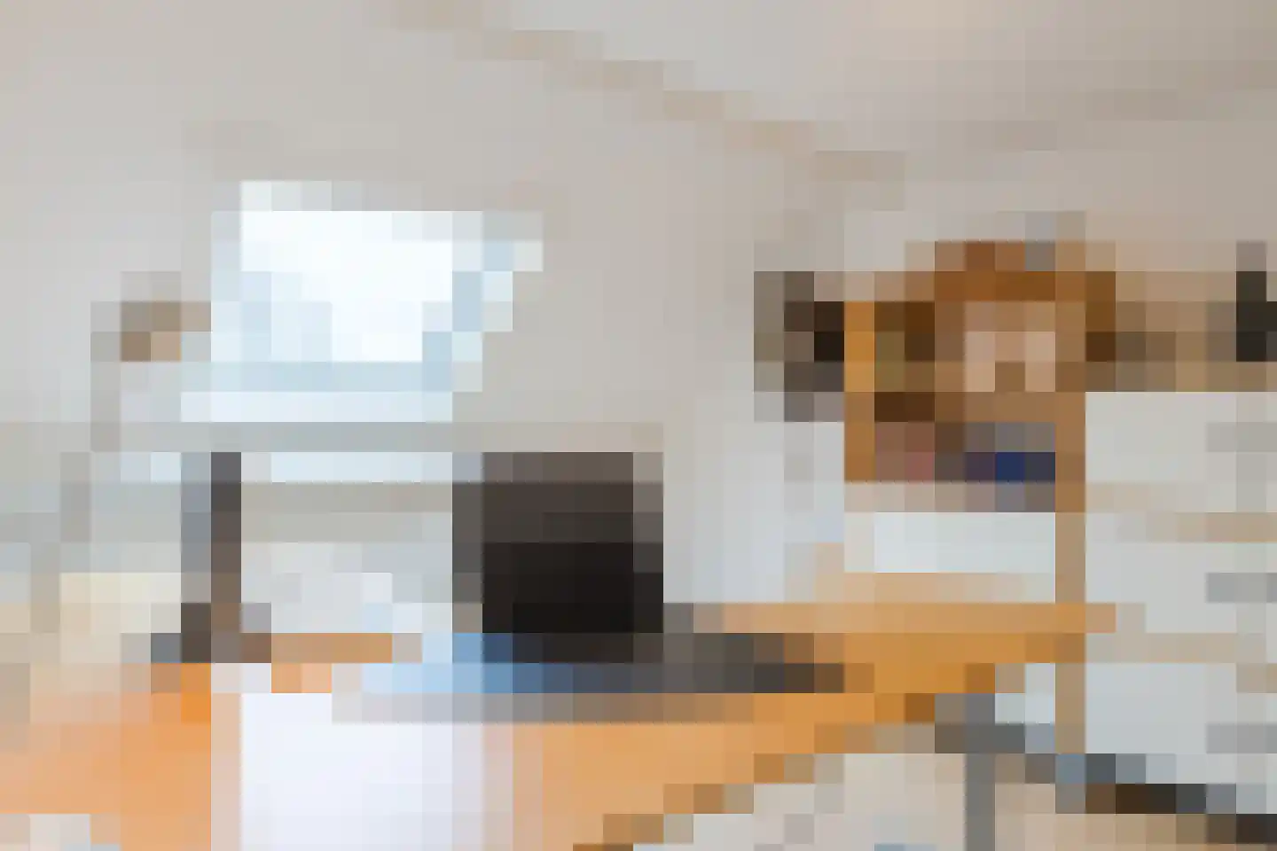 Getijmolenerf 155 Gouda thumbnail 27
