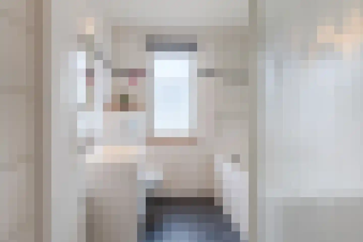 Getijmolenerf 155 Gouda thumbnail 4