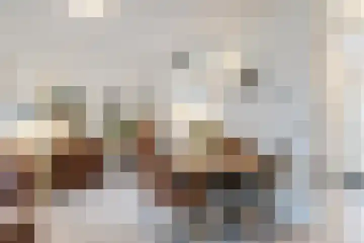 Getijmolenerf 155 Gouda thumbnail 5