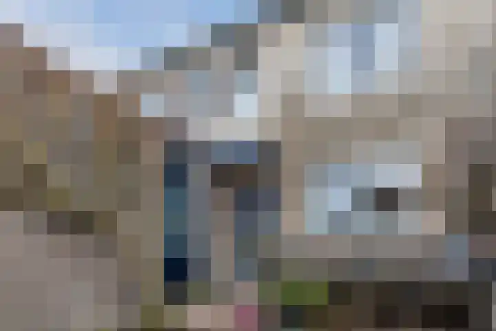 Getijmolenerf 155 Gouda thumbnail 7