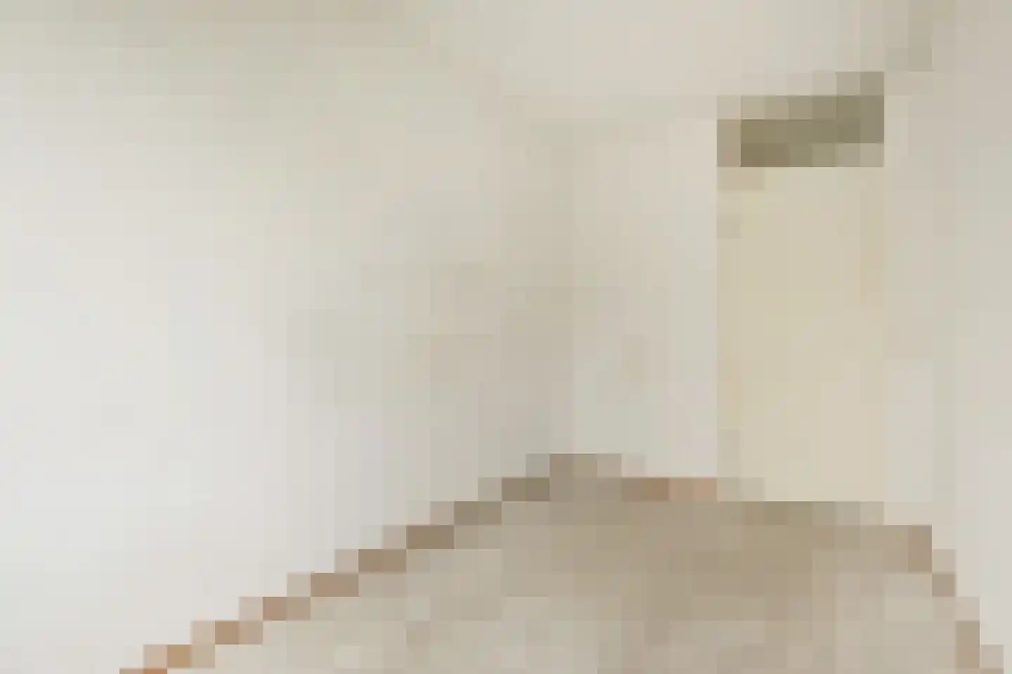 Getijmolenerf 38 Gouda thumbnail 16