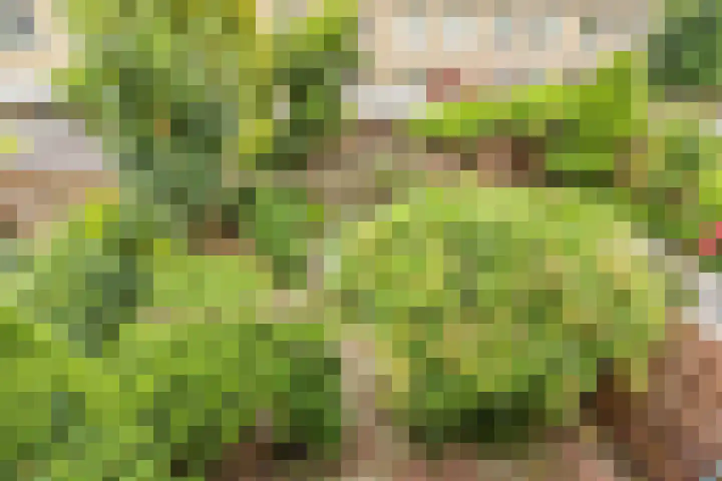 Getijmolenerf 38 Gouda thumbnail 20