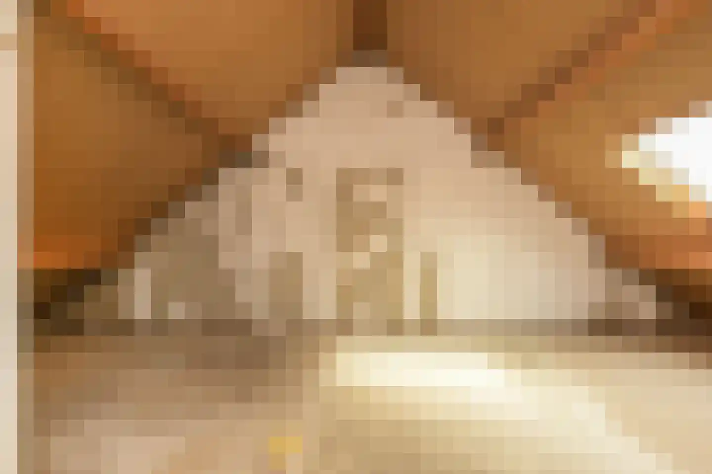 Getijmolenerf 38 Gouda thumbnail 31