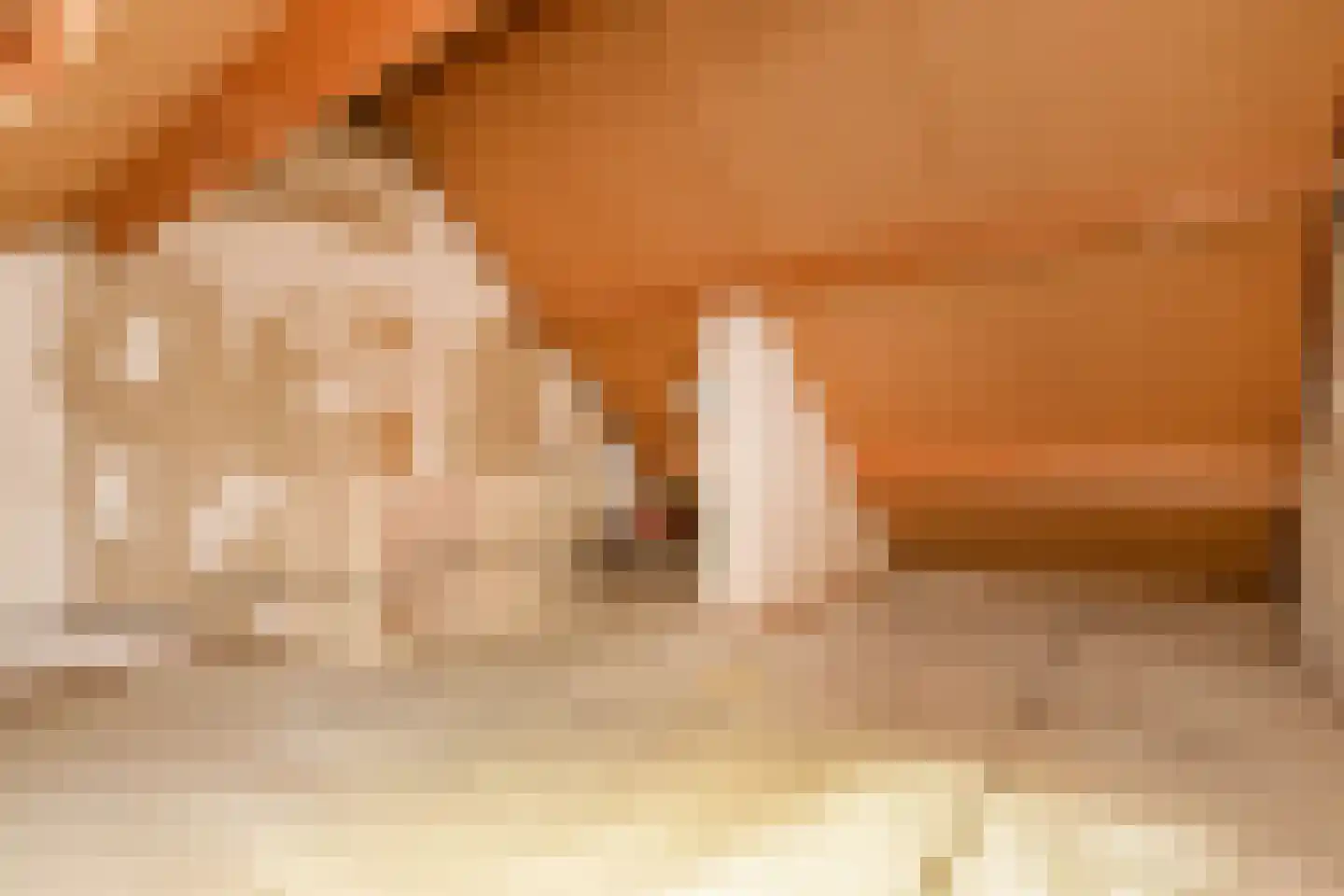 Getijmolenerf 38 Gouda thumbnail 33