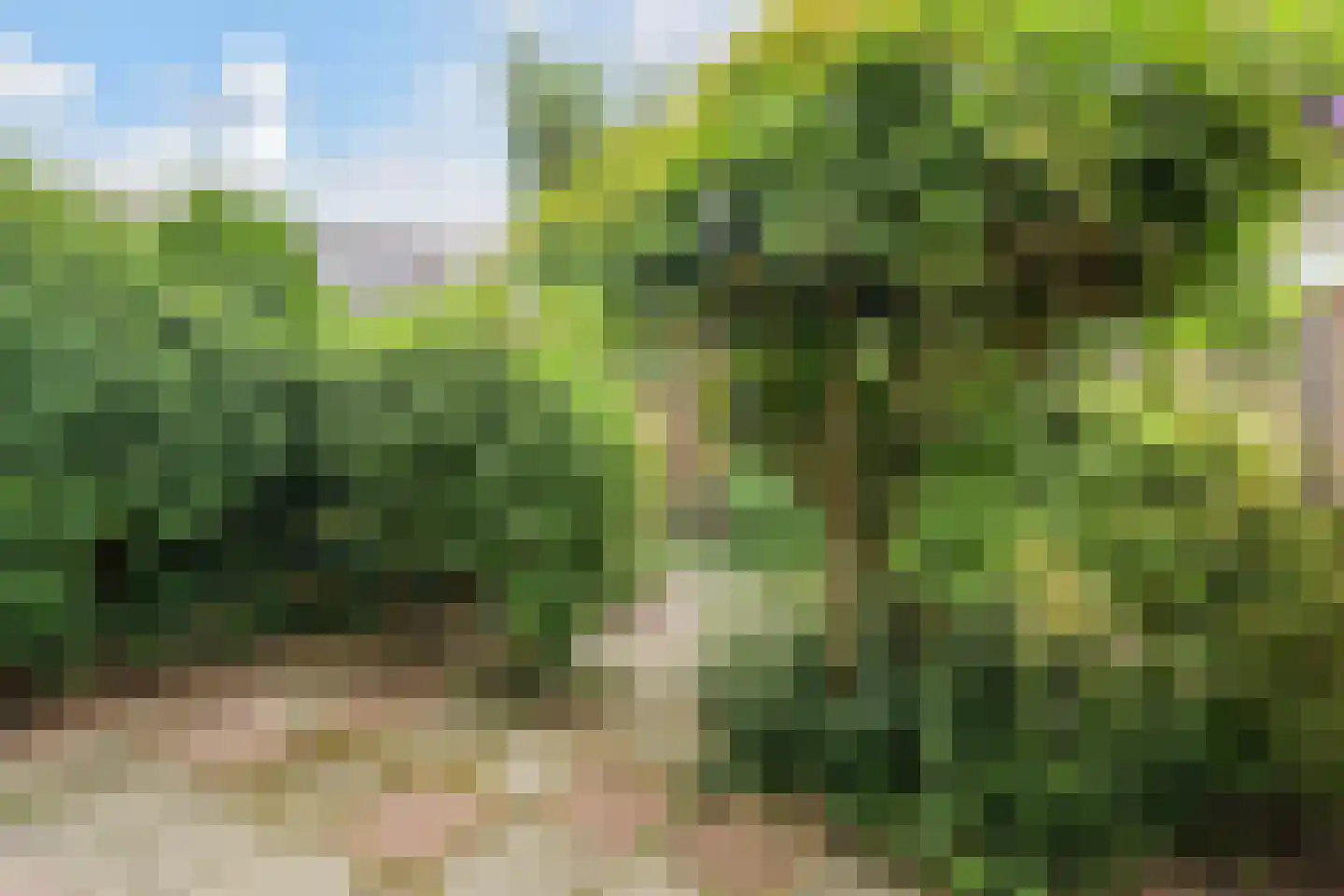 Getijmolenerf 38 Gouda thumbnail 34