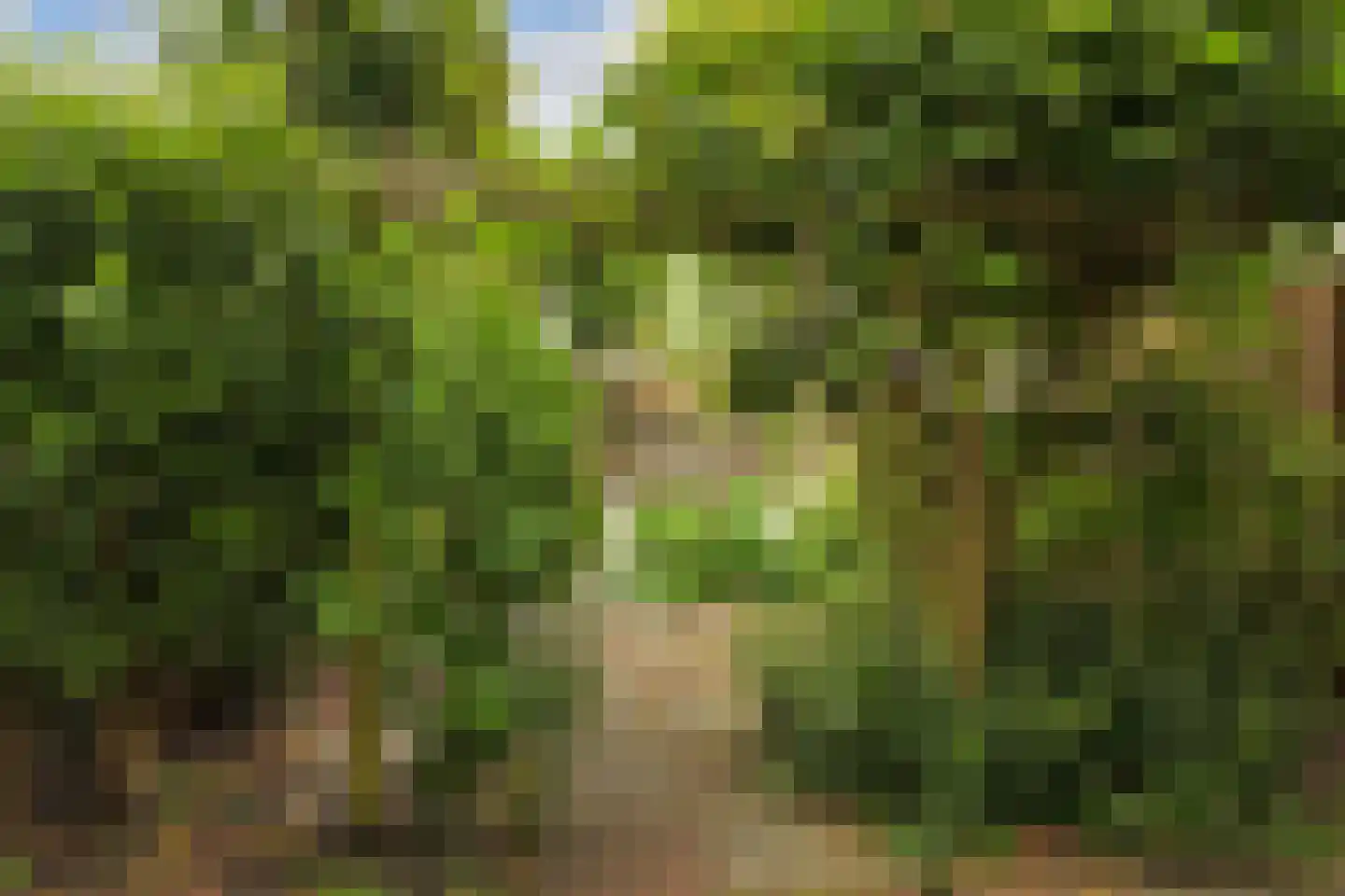 Getijmolenerf 38 Gouda thumbnail 35