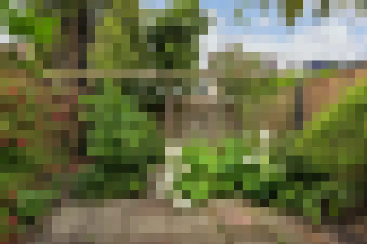 Getijmolenerf 38 Gouda thumbnail 36