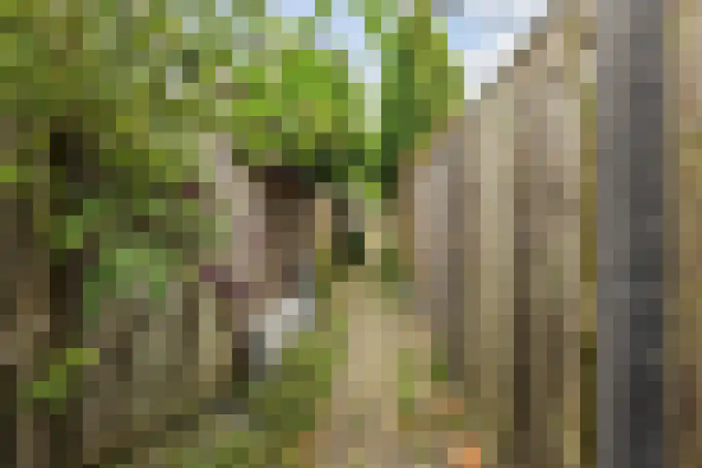 Getijmolenerf 38 Gouda thumbnail 37
