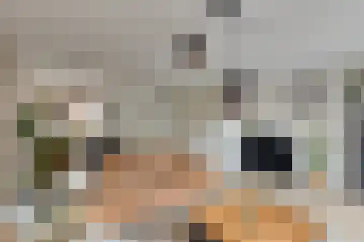 Getijmolenerf 60 Gouda thumbnail 10