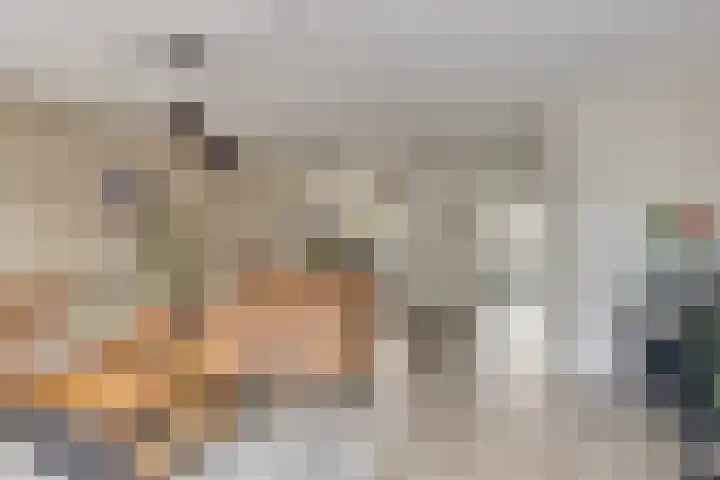 Getijmolenerf 60 Gouda thumbnail 11