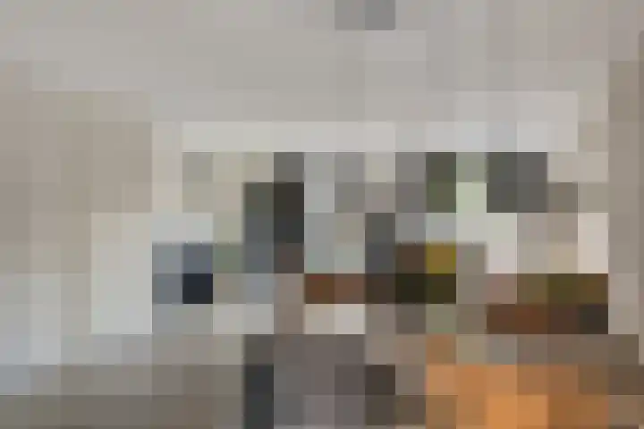 Getijmolenerf 60 Gouda thumbnail 12