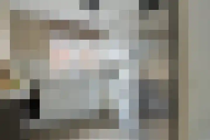 Getijmolenerf 60 Gouda thumbnail 13