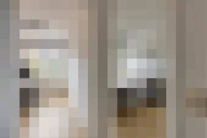 Getijmolenerf 60 Gouda thumbnail 14