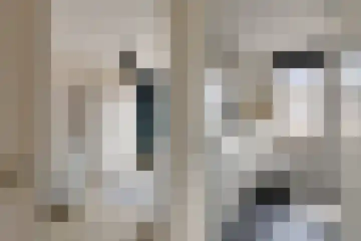 Getijmolenerf 60 Gouda thumbnail 15