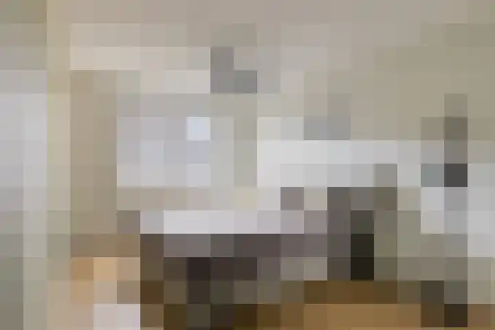 Getijmolenerf 60 Gouda thumbnail 16
