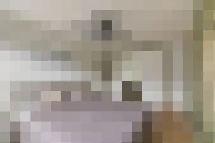 Getijmolenerf 60 Gouda thumbnail 17