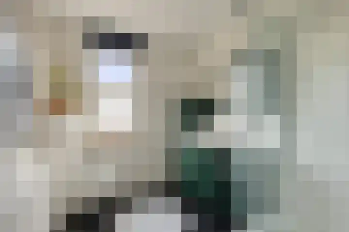 Getijmolenerf 60 Gouda thumbnail 18