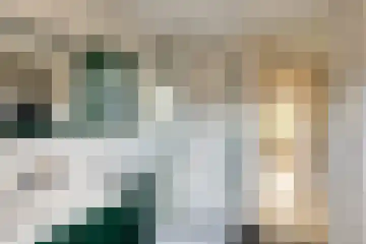Getijmolenerf 60 Gouda thumbnail 19