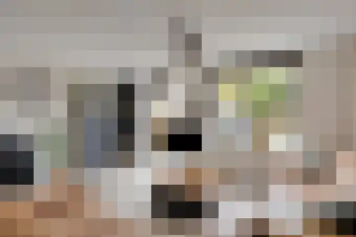 Getijmolenerf 60 Gouda foto 2