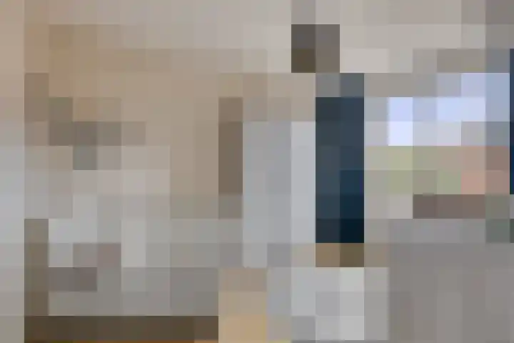 Getijmolenerf 60 Gouda thumbnail 20
