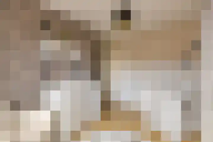 Getijmolenerf 60 Gouda thumbnail 21
