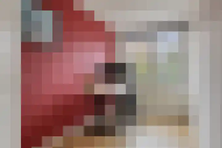 Getijmolenerf 60 Gouda thumbnail 22