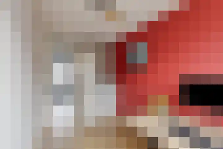 Getijmolenerf 60 Gouda thumbnail 23