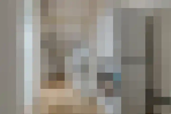 Getijmolenerf 60 Gouda thumbnail 25
