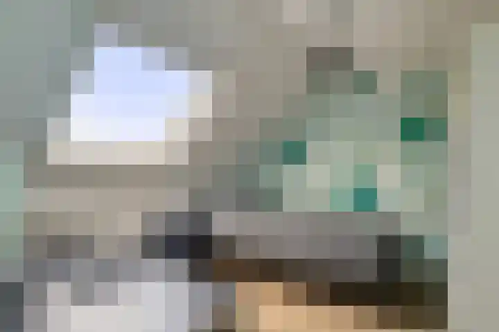 Getijmolenerf 60 Gouda thumbnail 26