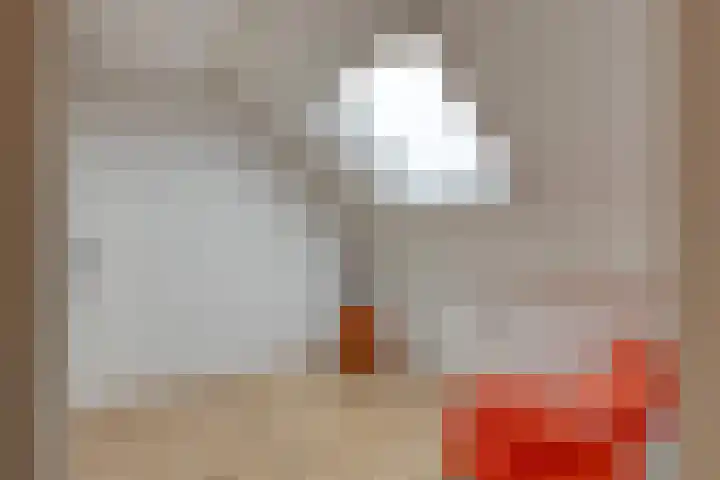 Getijmolenerf 60 Gouda thumbnail 27