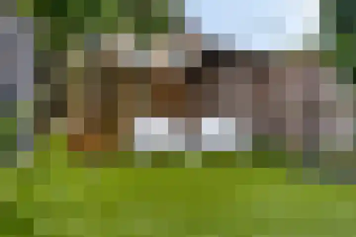 Getijmolenerf 60 Gouda thumbnail 29