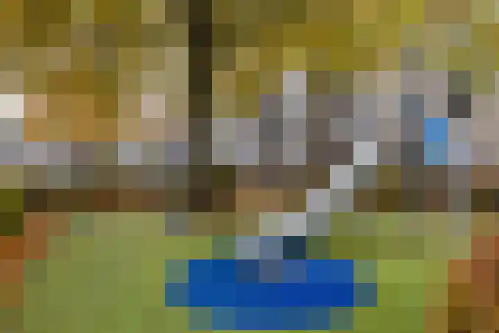 Getijmolenerf 60 Gouda thumbnail 35