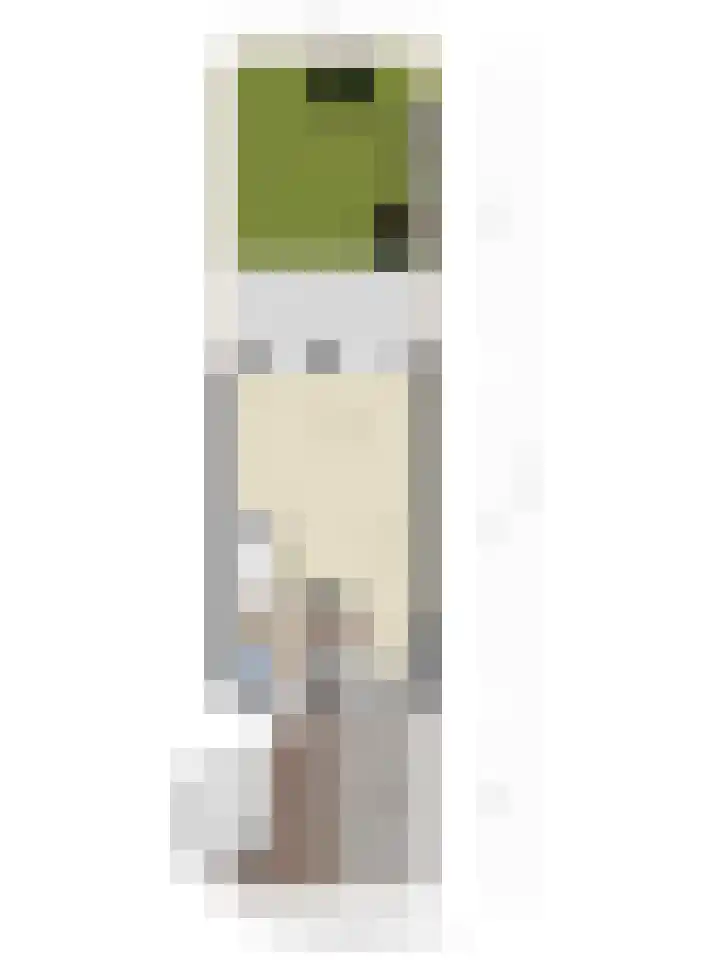 Getijmolenerf 60 Gouda thumbnail 36