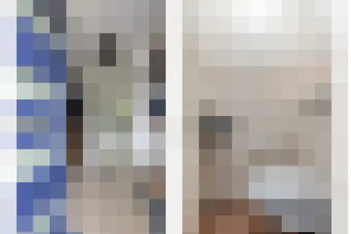 Getijmolenerf 60 Gouda thumbnail 6