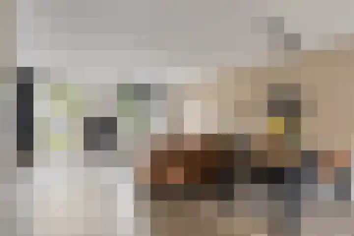 Getijmolenerf 60 Gouda thumbnail 7