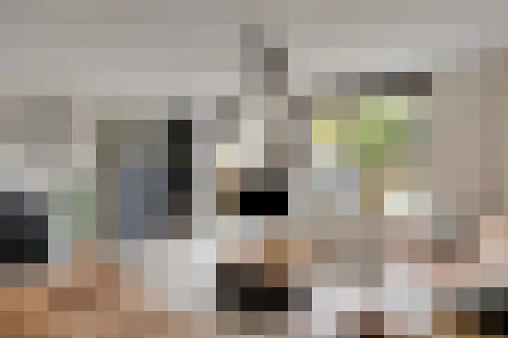 Getijmolenerf 60 Gouda thumbnail 8