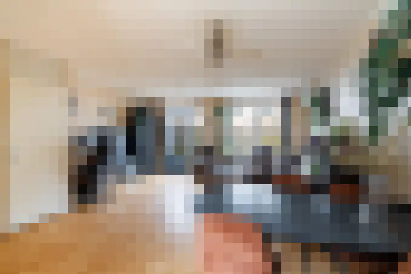 Getijmolenerf 64 Gouda thumbnail 10