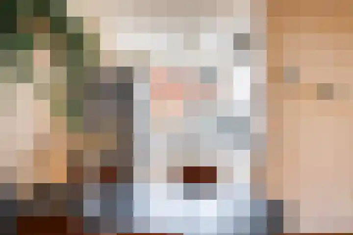 Getijmolenerf 64 Gouda thumbnail 13