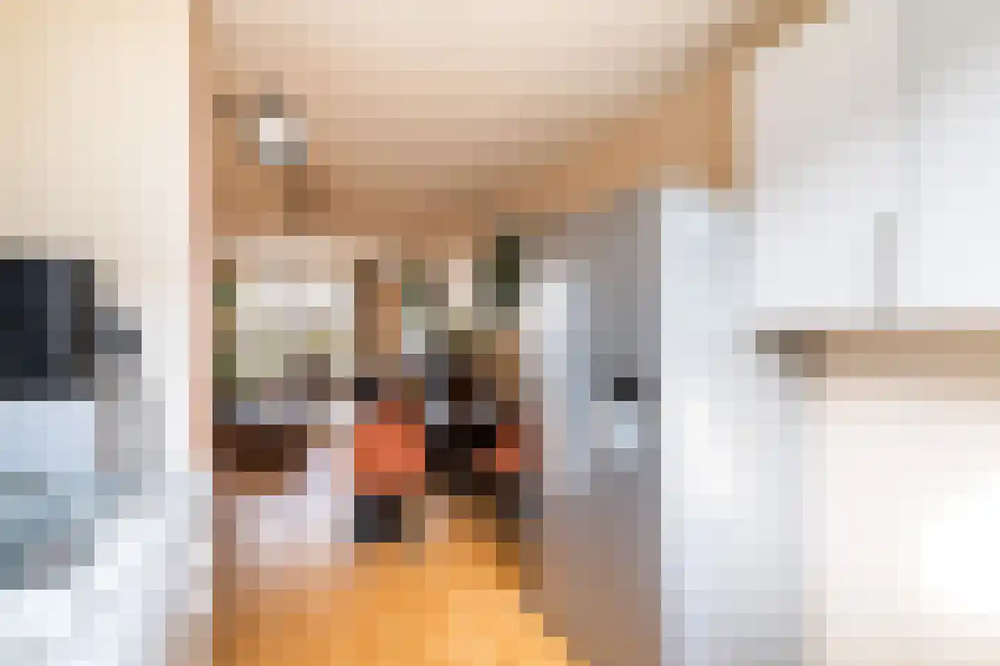 Getijmolenerf 64 Gouda thumbnail 16