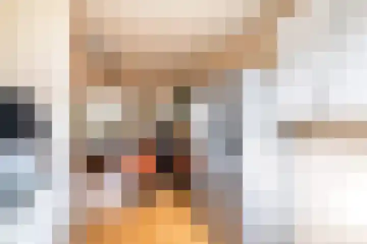 Getijmolenerf 64 Gouda thumbnail 16