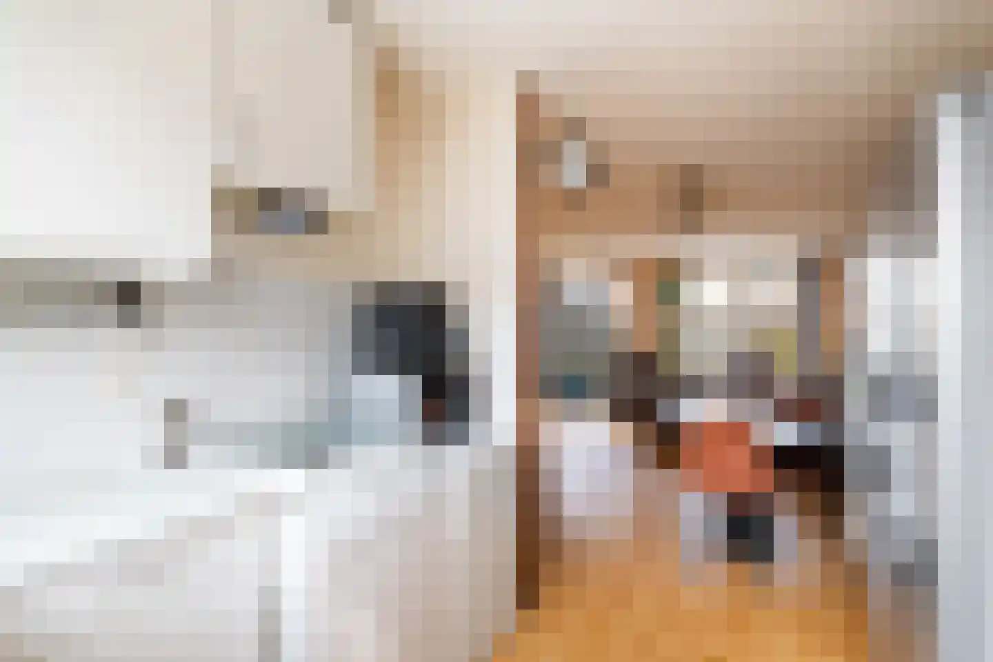 Getijmolenerf 64 Gouda thumbnail 17