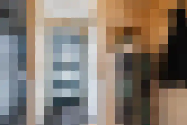 Getijmolenerf 64 Gouda thumbnail 18
