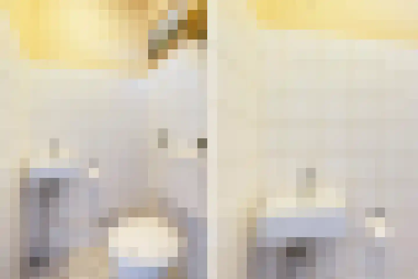Getijmolenerf 64 Gouda thumbnail 19